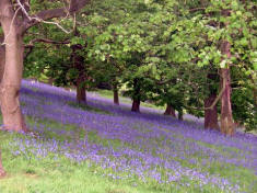 Dales Way Link to Harrogate, 7th May 2007