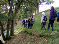 Fellbeck to Pateley, 19th October 2008