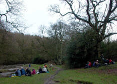 The Nidd Gorge, 20th January 2008