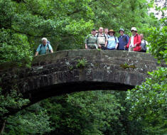 Washburndale, 20th July 2008