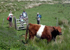 A walk on the Wild Side, 31st May 2009